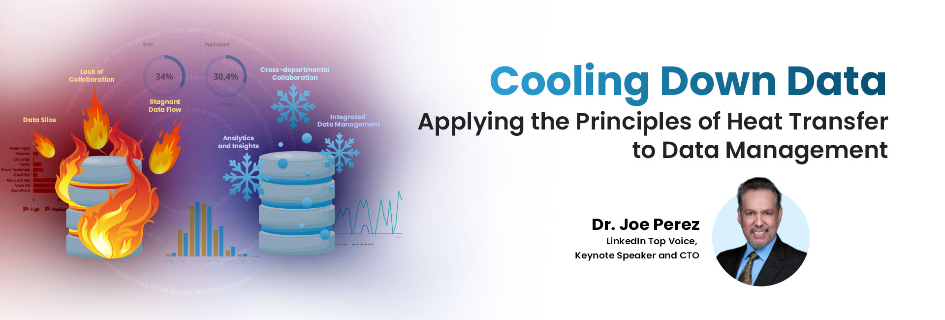 Website_DrJoeLeanDataGovernance